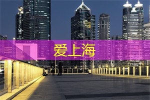 上海茶庄中的茶文化之旅