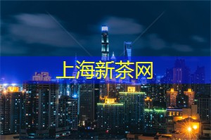 上海茶庄的茶宴：艺术与味蕾的结合